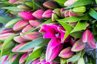 Cc15901c55e58edb19dd691343ac7221