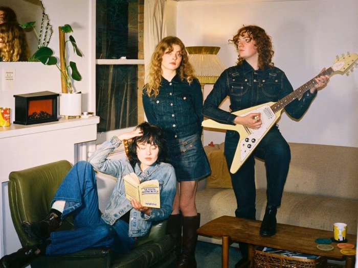Folkbtrio