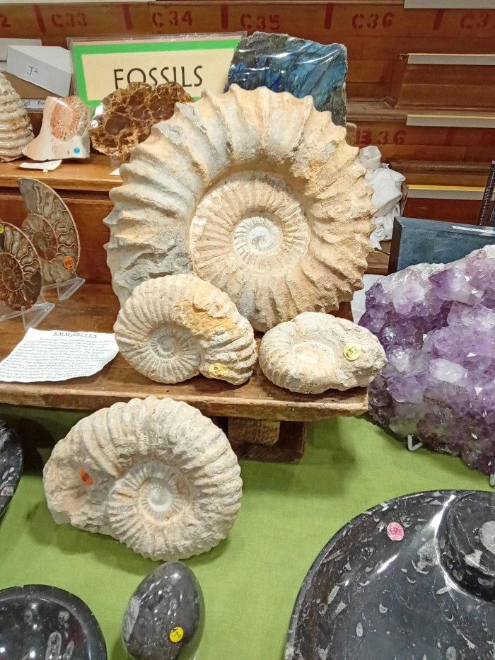 Cfdd886b8559959fbd903df74a95b5e1