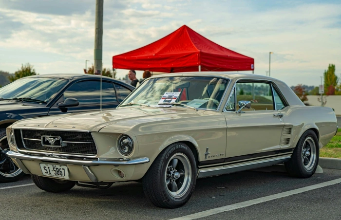 D303cf4c172c3b2f6f5884171f15210d