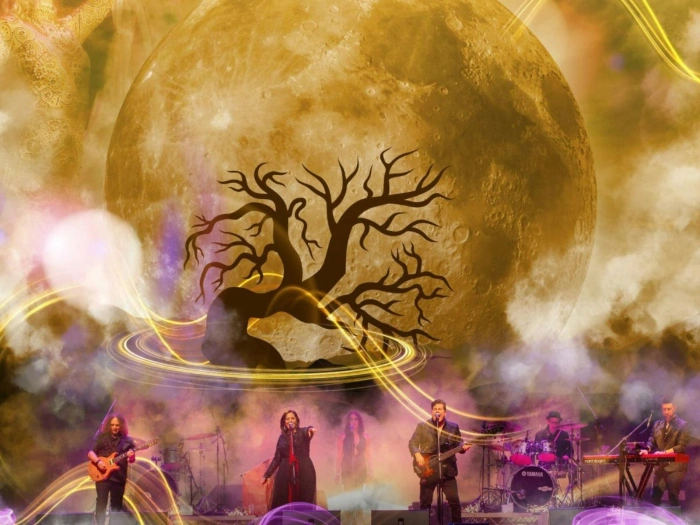 0930f26cfd4a8127ba0e524af6d00a49 cy01d6s oxce2j1