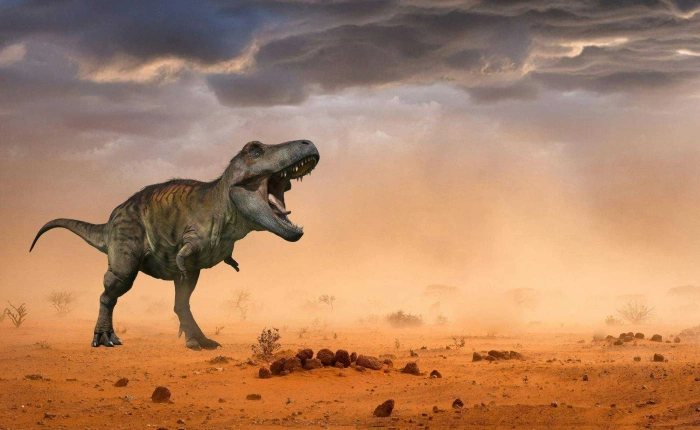 019ed86b1a542ed372d021043a823187