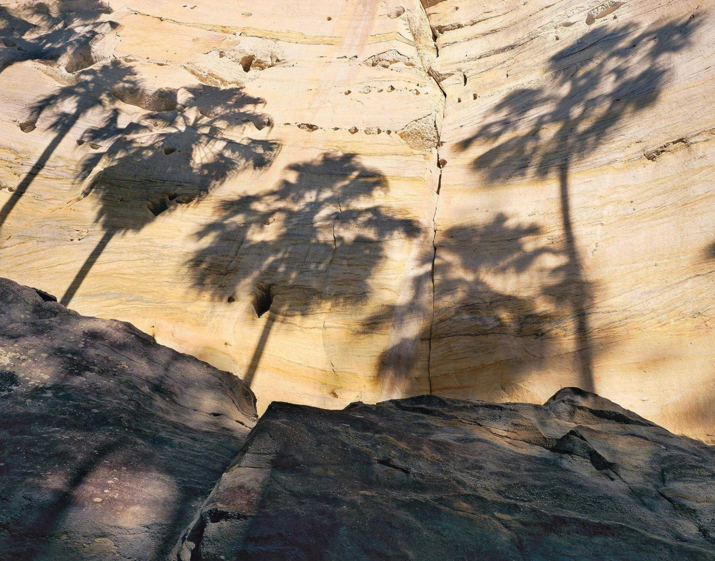 90007df332a0c4a98e622e669ef539f2