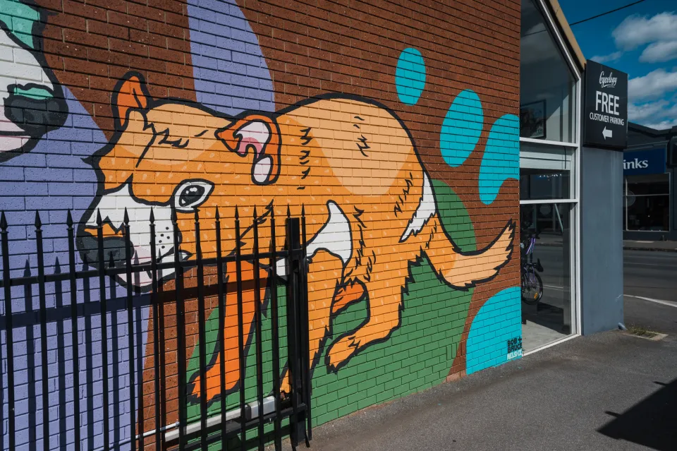 Cycology mural 01 The Socialty