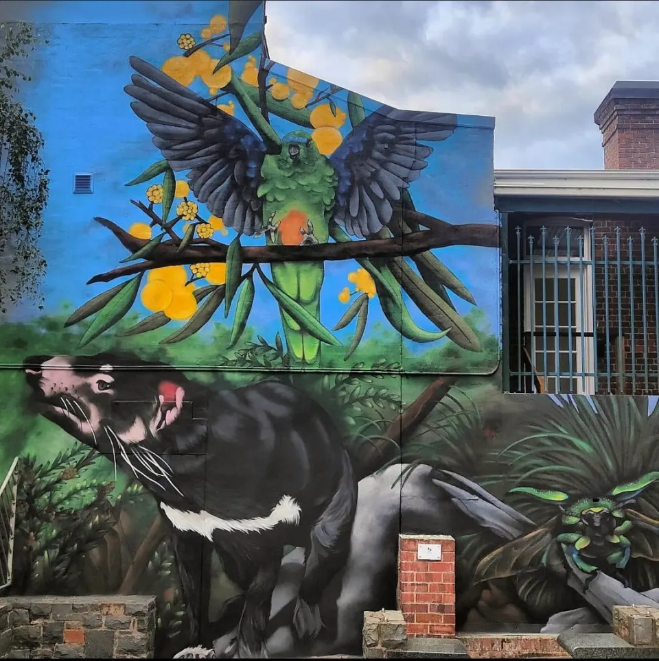 320516614 1523195404757506 2367552576654482553 n