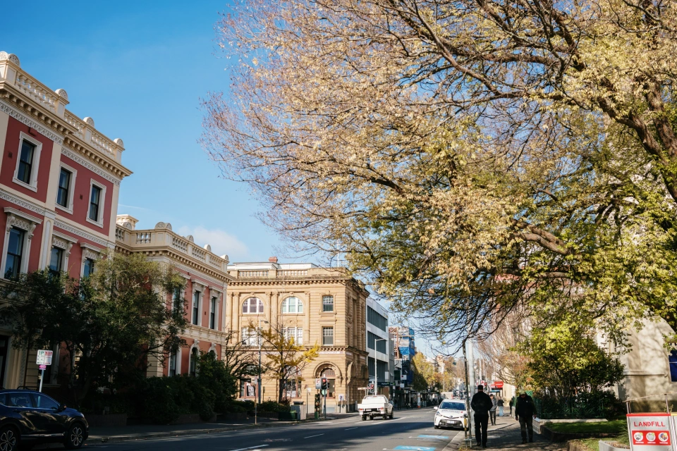 Launnie streetscapes 4