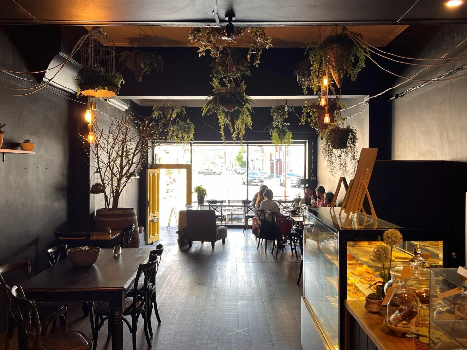 428651015 122128497992112762 5740280464928967119 n