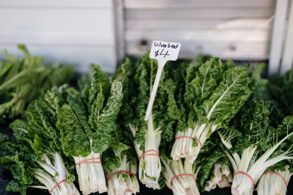 Launnie Harvest Market 13