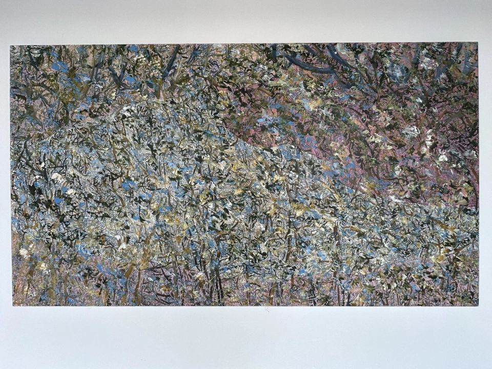 405123317 786977279902043 3765820431493218360 n