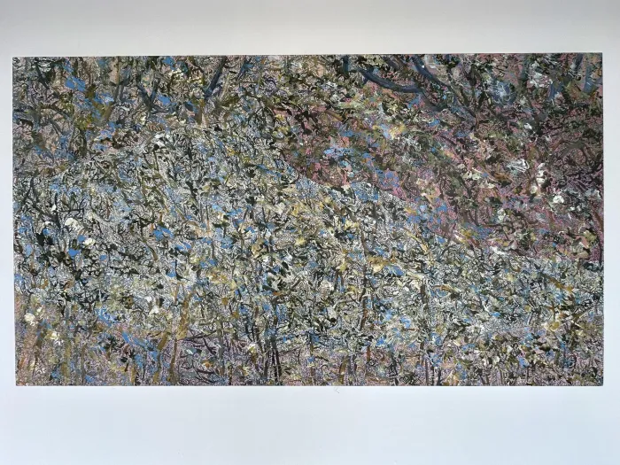 405123317 786977279902043 3765820431493218360 n