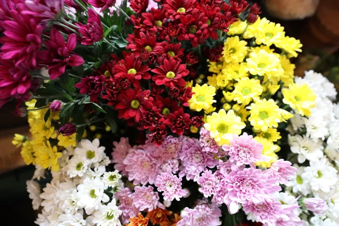 Flowers And Balloons FB 21 02 001