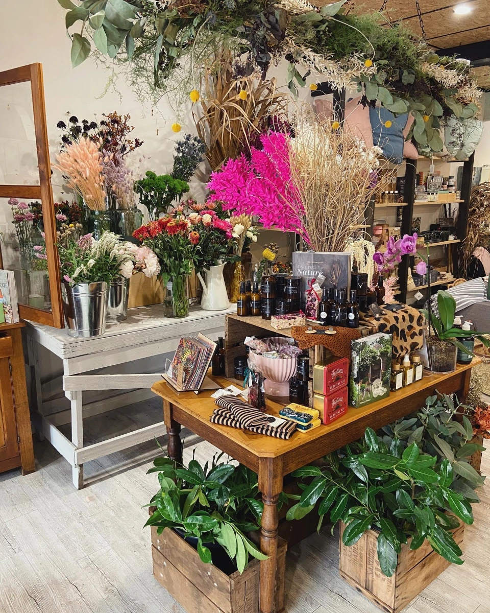 80373048 1846302265495074 677756855899914240 n