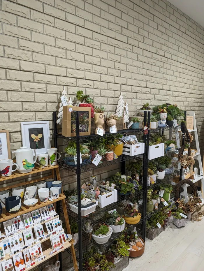 PXL 20231212 011618576