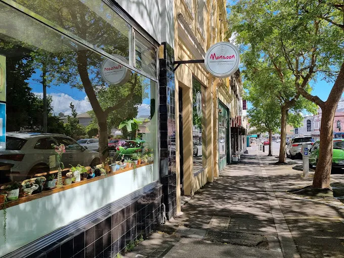 Monsoon MS 22 01 008