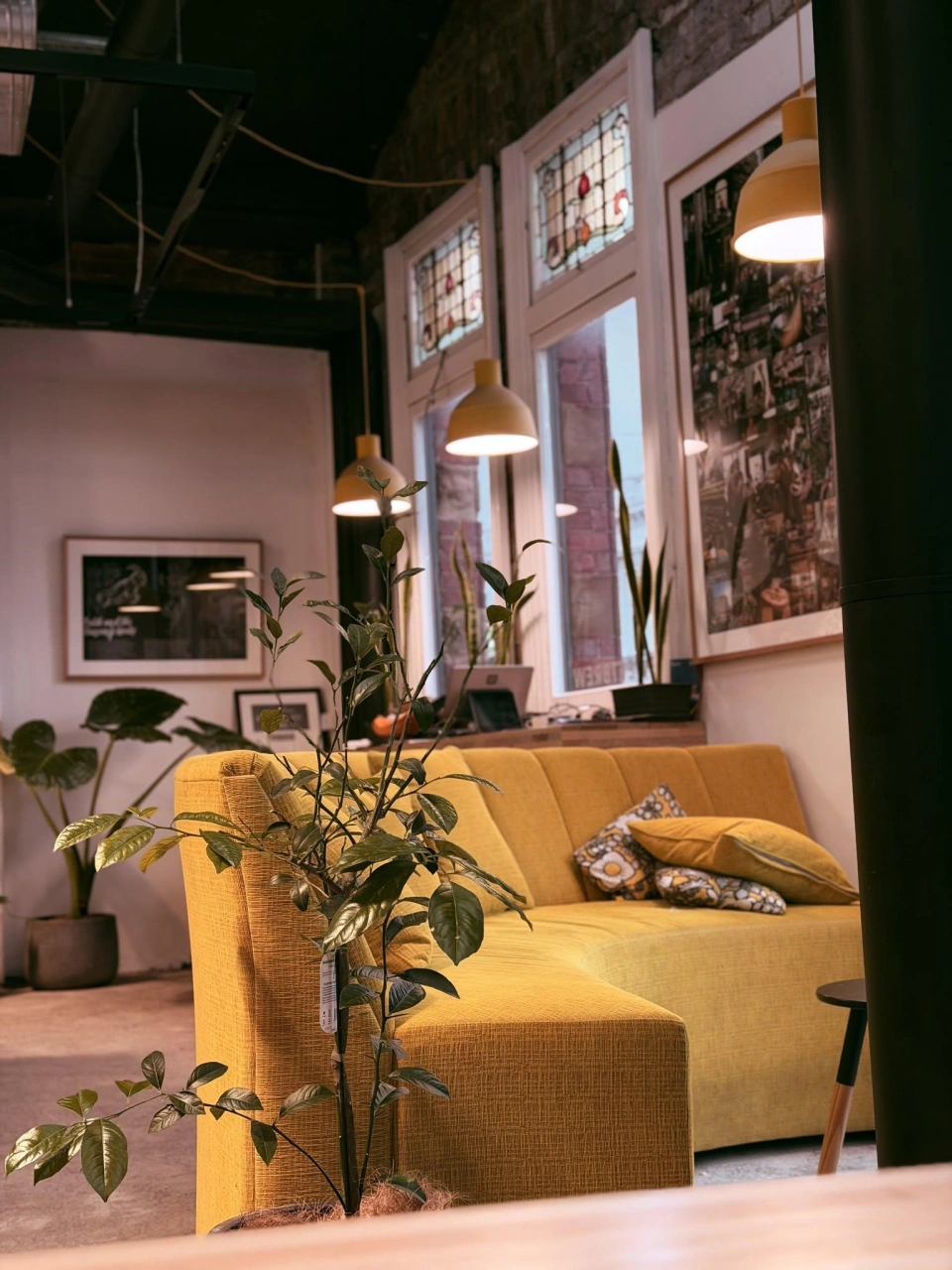 Nestcafe4