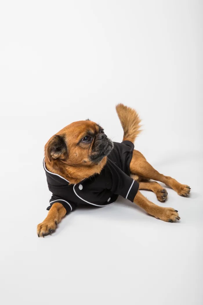 Flouffy N Eig Hit V Xbk unsplash