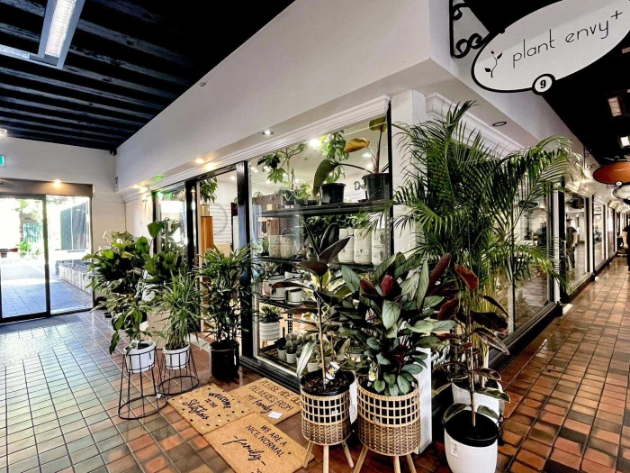 423584522 355443287351410 8126515831190156582 n