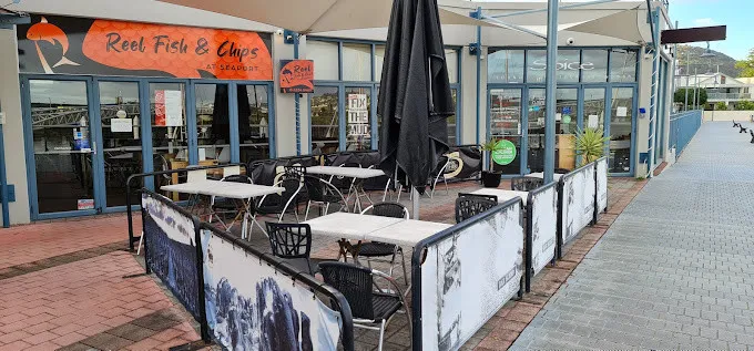 Reelfishcips GM 21 01 005