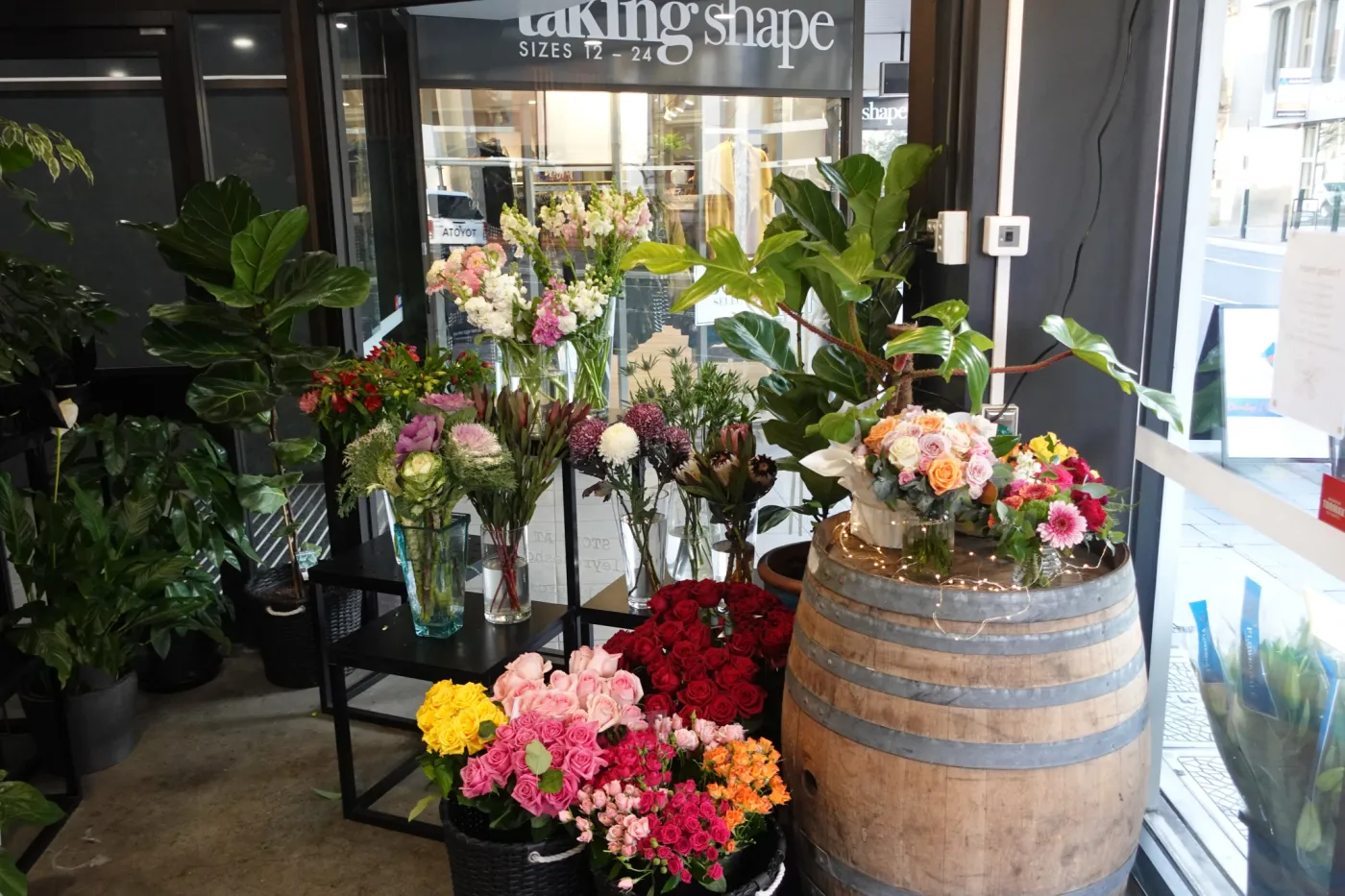 Tamar Valley rose shop DC 23 06 001