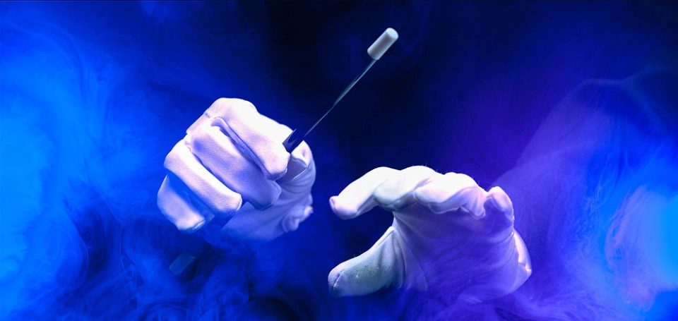 Your Tea Shop Dec2025 7