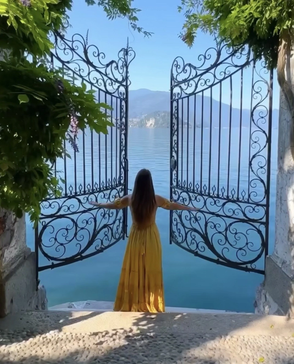 Your Tea Shop Summer2026 4