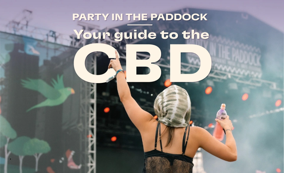 PITP Your Guide to the CBD Website Banner