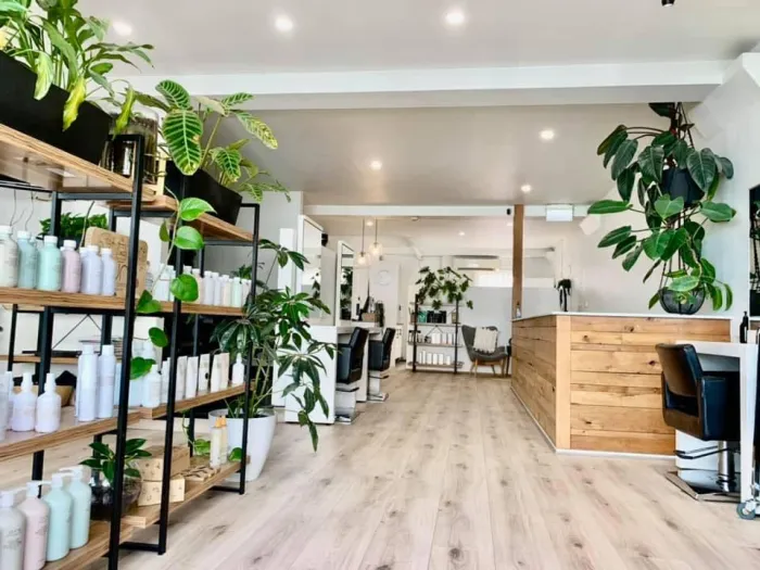 Dollhousehair FB 22 09 001