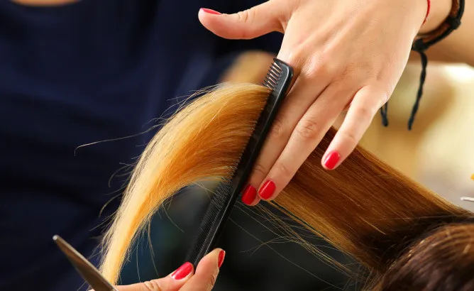 Price Cutters Web 23 05 001