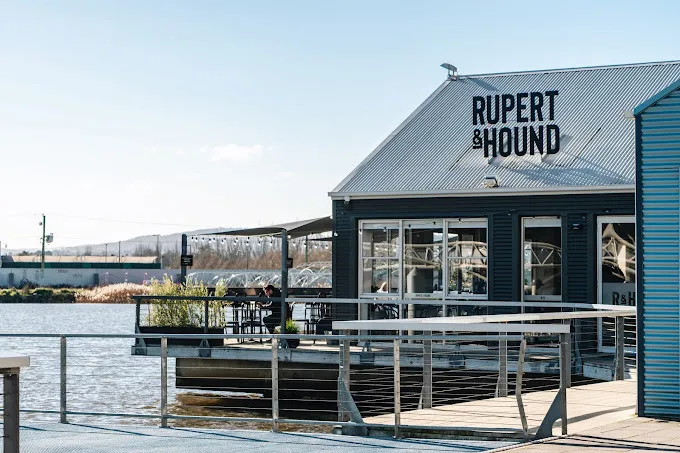 Ruperthound RH 20 01 011