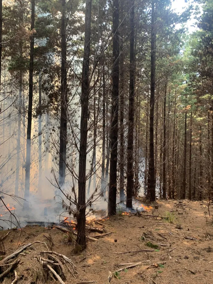 Technical Forest Services FB 22 02 002