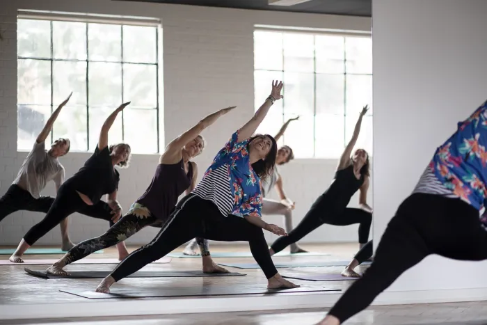 319355822 920972835533187 7232702428151471261 n